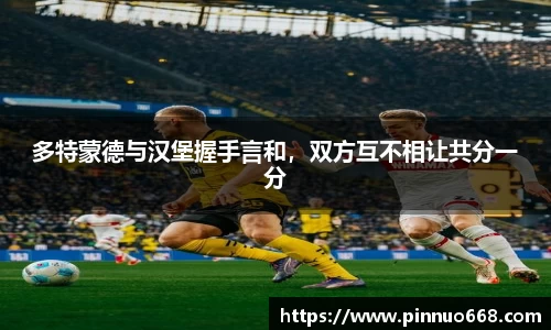 多特蒙德与汉堡握手言和，双方互不相让共分一分